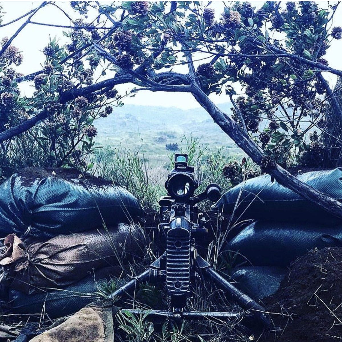 A crew-served machine gun set behind sandbags in a camouflaged fighting position, framed by branches and overlooking a green valley.